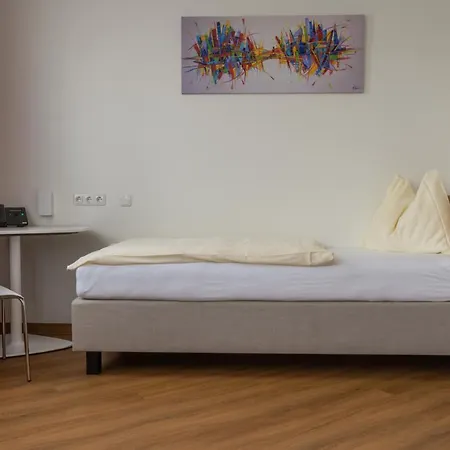 酒店 林茨之夏酒店 3*